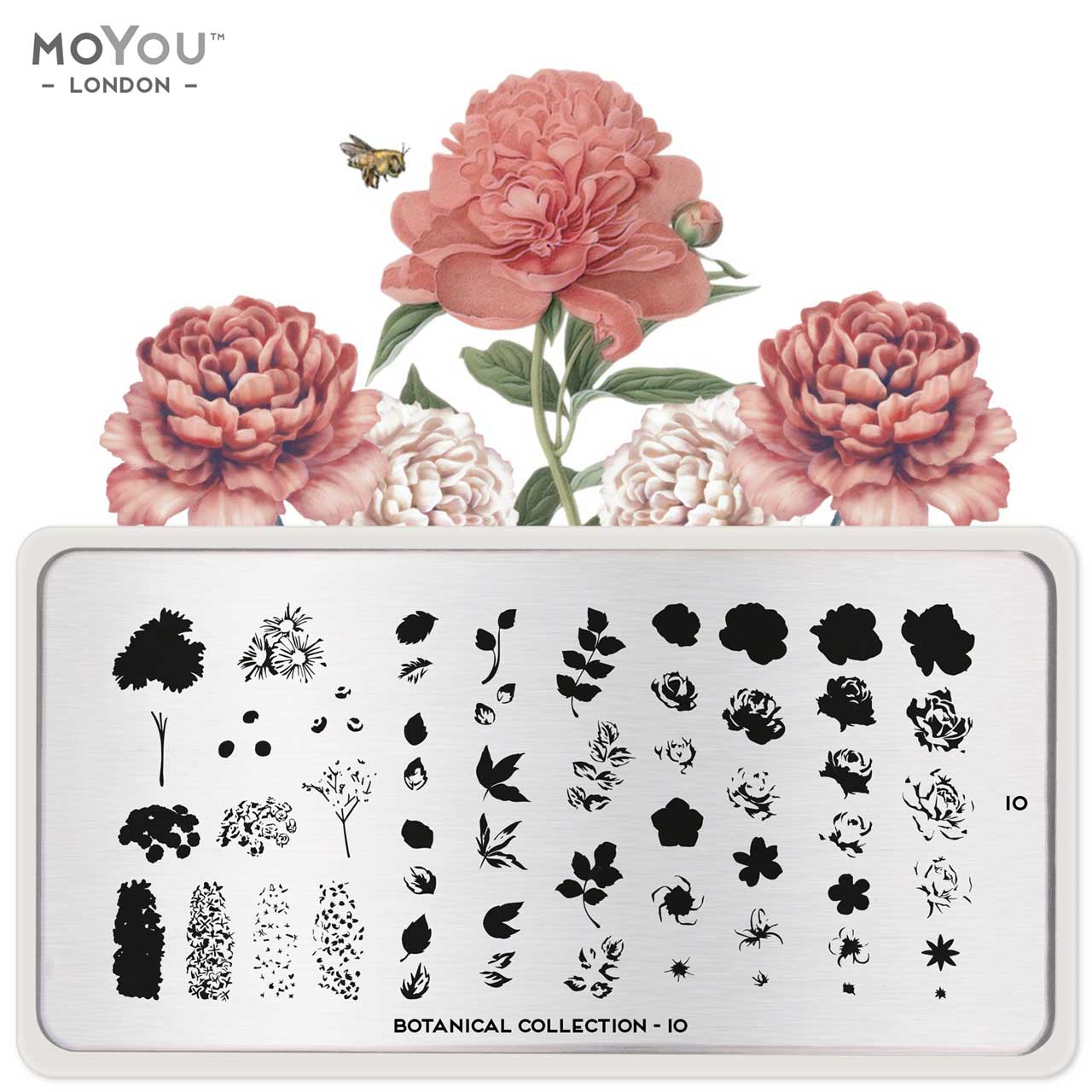 MoYou Stamping Botanical 10