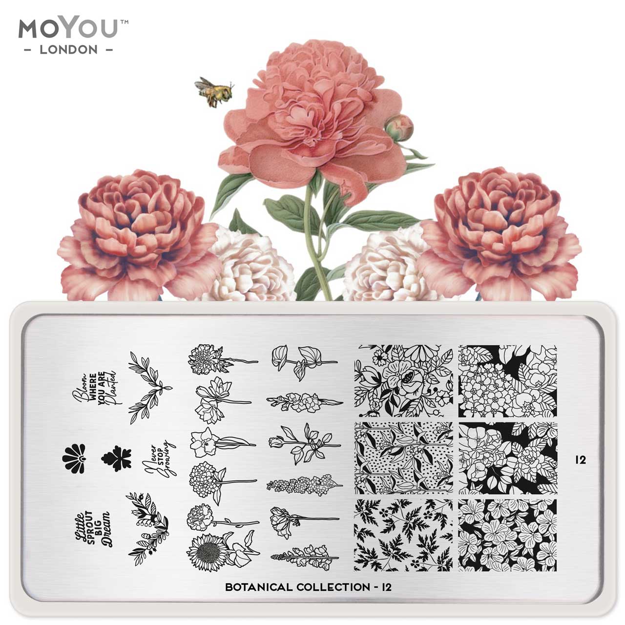MoYou Stamping Botanical 12